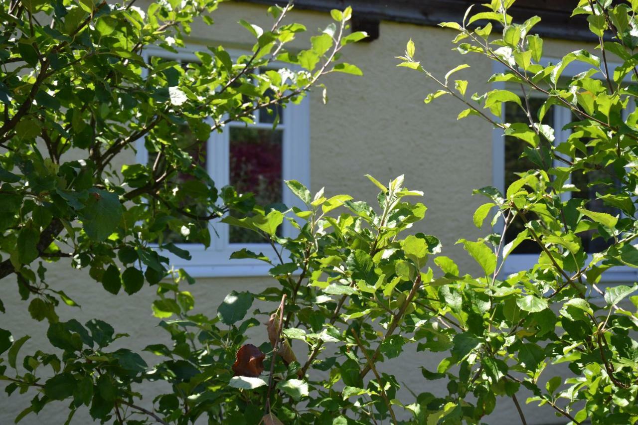 Coralie Strobl Exterior photo